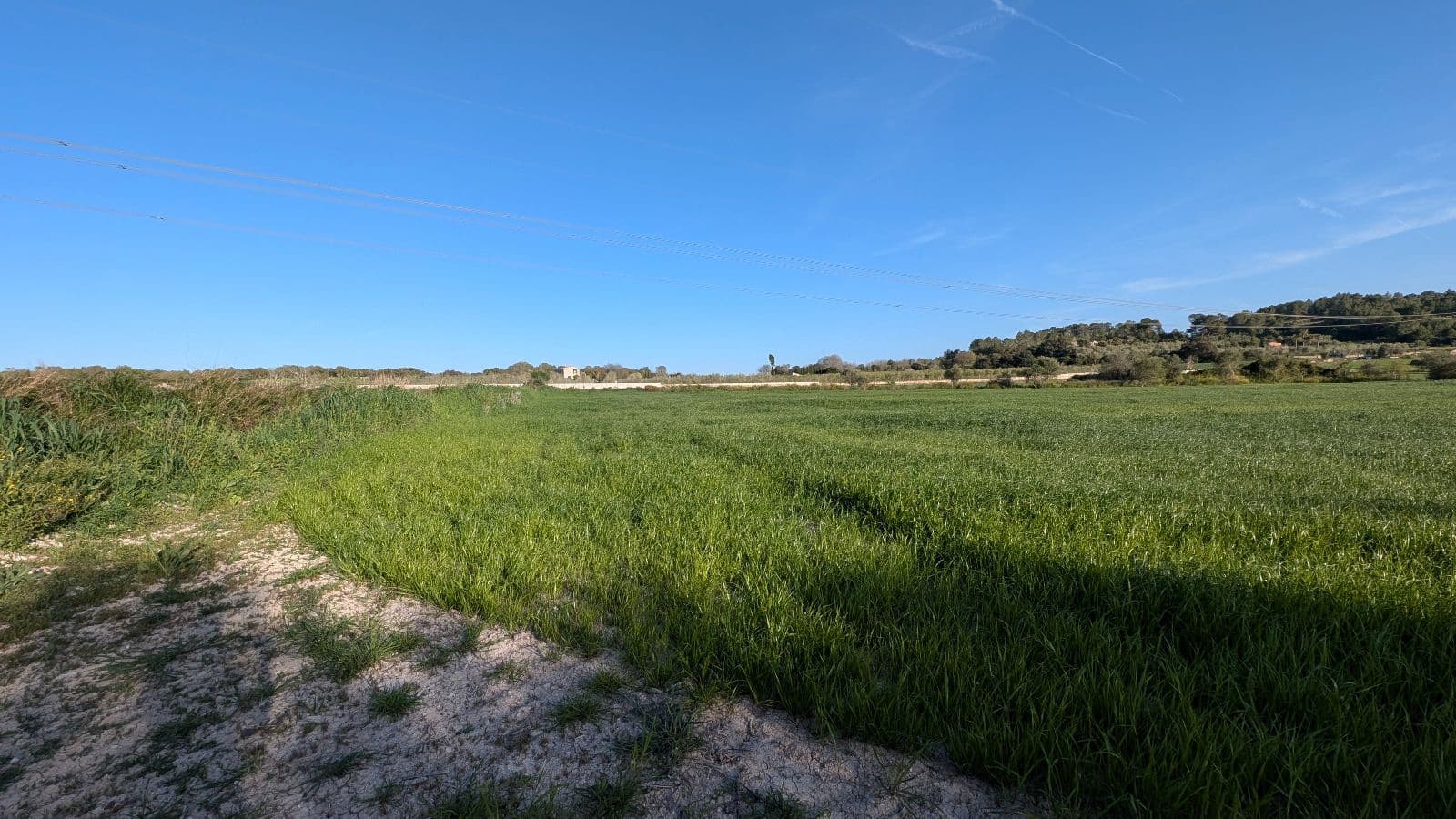 Undeveloped Land for sale in Muro - € 169,000 (Ref: 9599910)