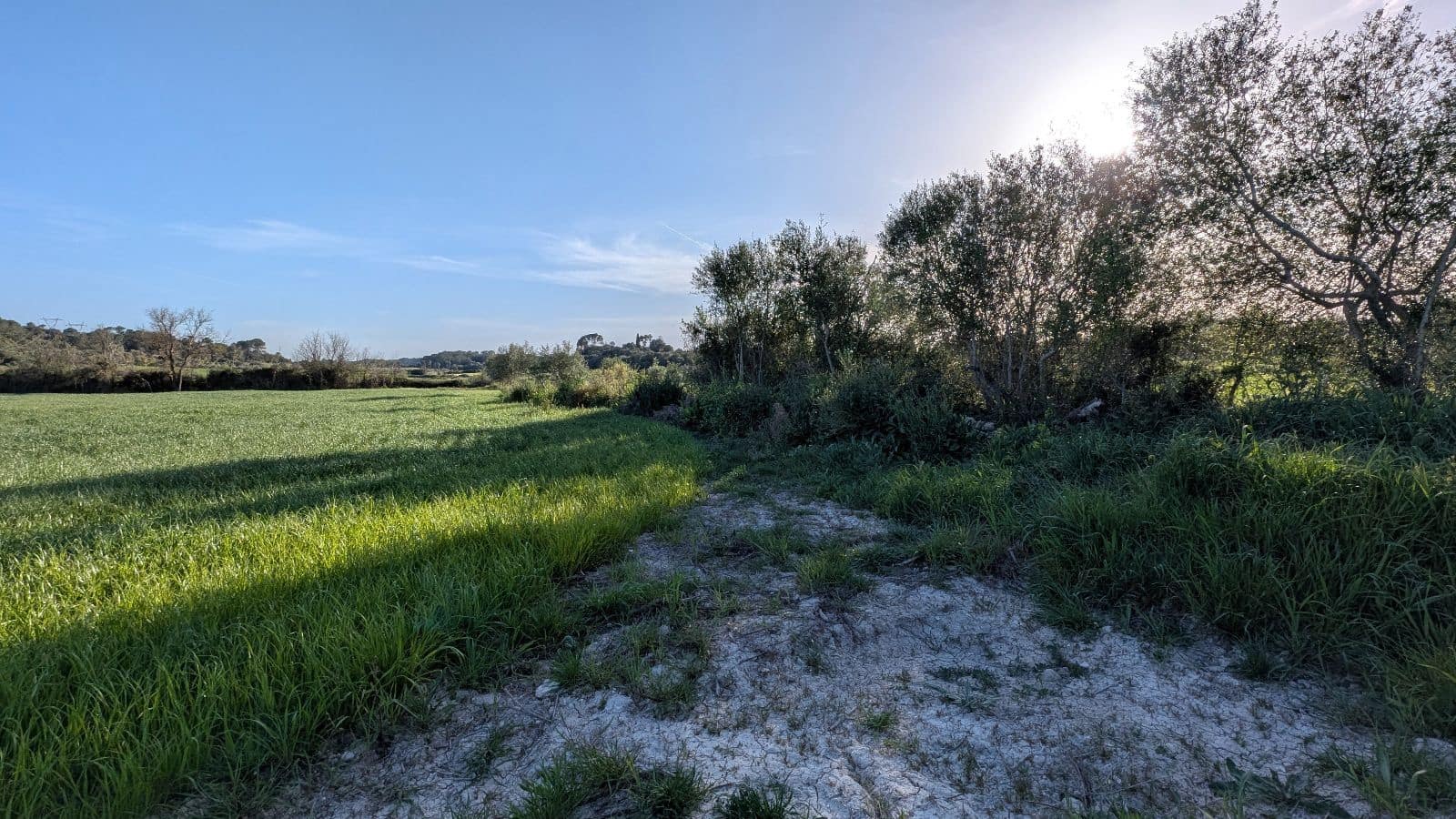 Undeveloped Land for sale in Muro - € 169,000 (Ref: 9599910)