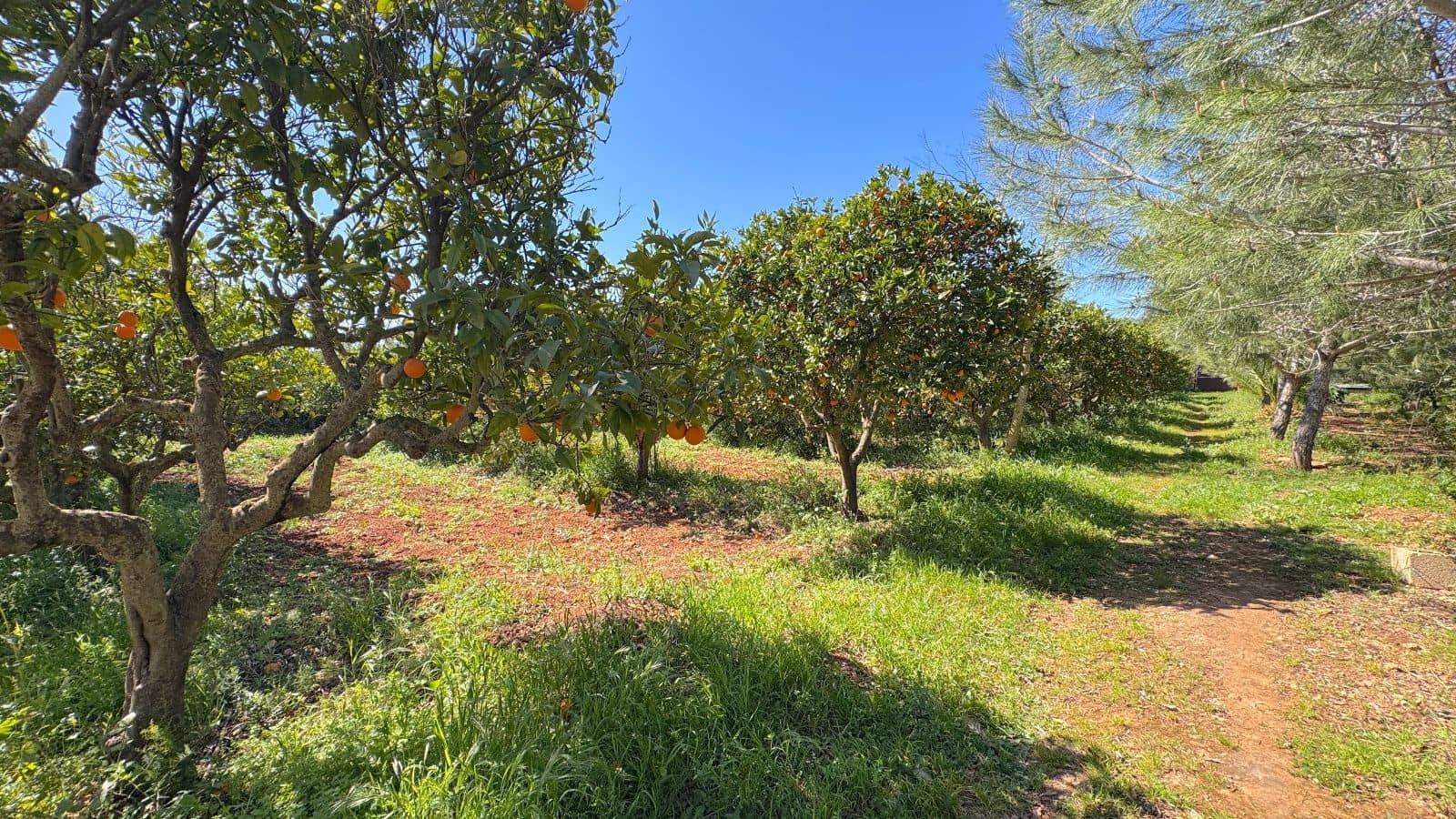 6 chambre Finca/Maison de Campagne à vendre à Santa Maria del Cami avec piscine garage - 1 100 000 € (Ref: 9694235)