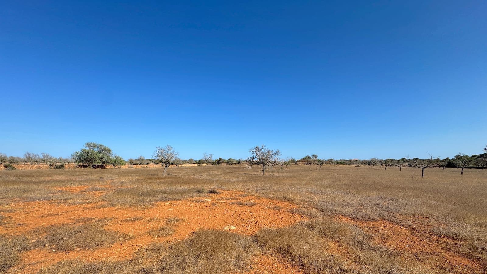 Undeveloped Land for sale in Santanyi - € 659,000 (Ref: 9816510)
