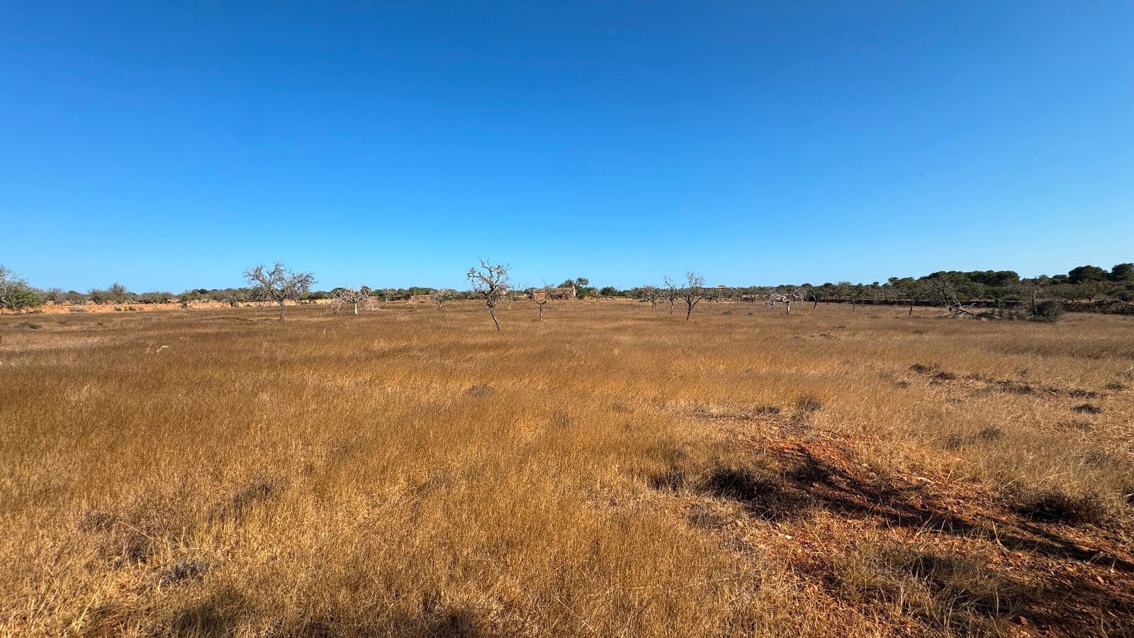 Undeveloped Land for sale in Santanyi - € 659,000 (Ref: 9816510)