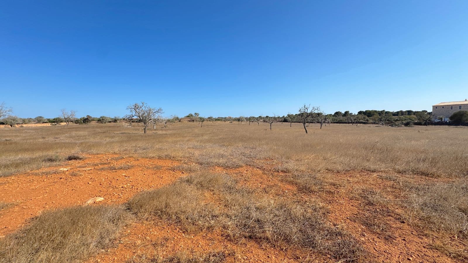 Undeveloped Land for sale in Santanyi - € 659,000 (Ref: 9816510)