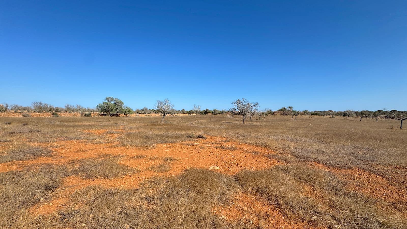 Undeveloped Land for sale in Santanyi - € 659,000 (Ref: 9816510)