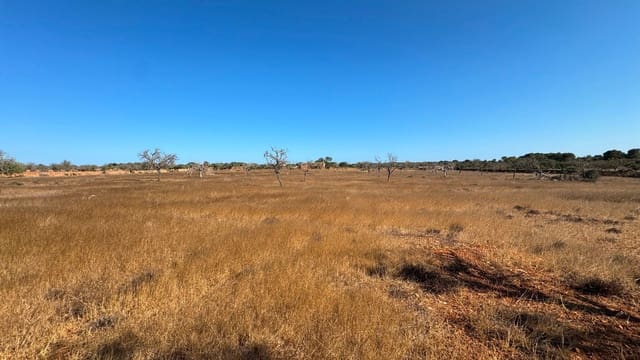Grunde uden byggetilladelser til salg i Santanyí - € 659.000 (Ref: 9816510)