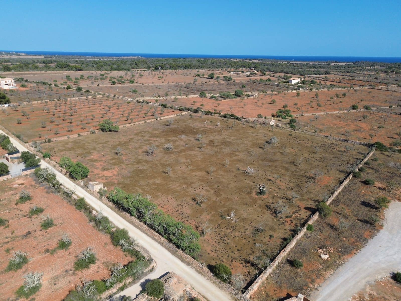 Undeveloped Land for sale in Santanyi - € 659,000 (Ref: 9816510)
