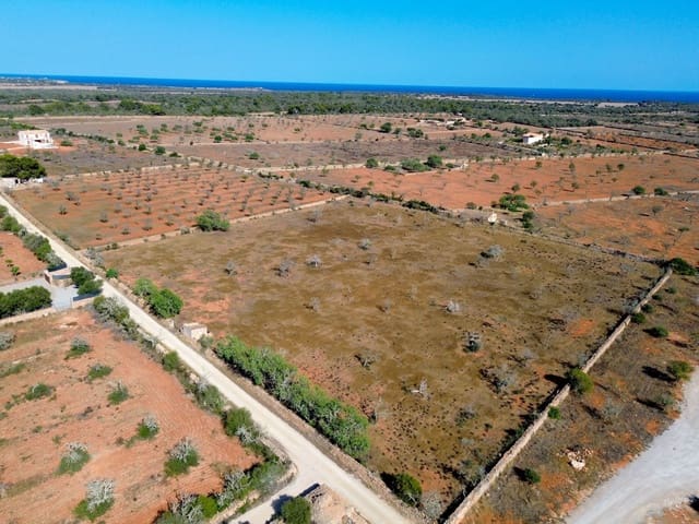 Grunde uden byggetilladelser til salg i Santanyí - € 659.000 (Ref: 9816510)