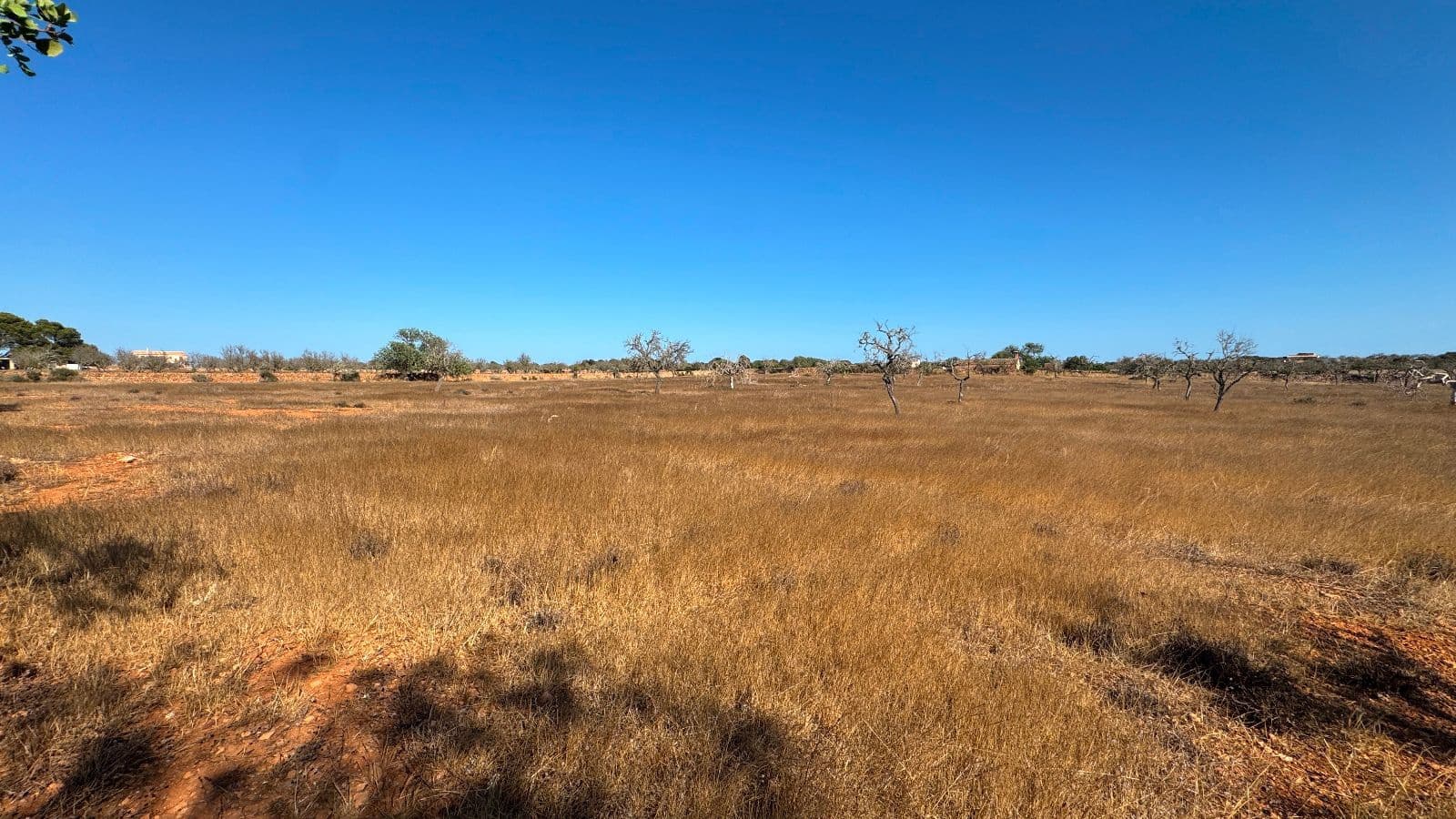 Undeveloped Land for sale in Santanyi - € 659,000 (Ref: 9816510)