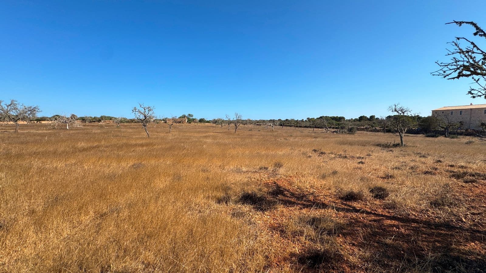 Undeveloped Land for sale in Santanyi - € 659,000 (Ref: 9816510)