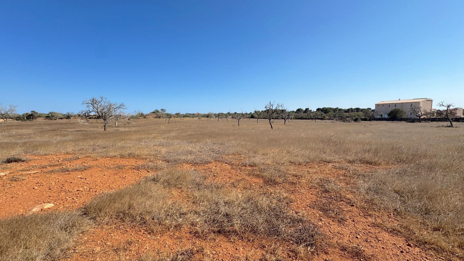 Undeveloped Land for sale in Santanyi - € 659,000 (Ref: 9816510)