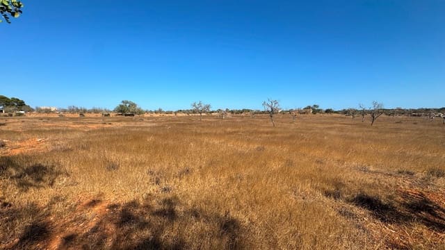 Grunde uden byggetilladelser til salg i Santanyí - € 659.000 (Ref: 9816510)