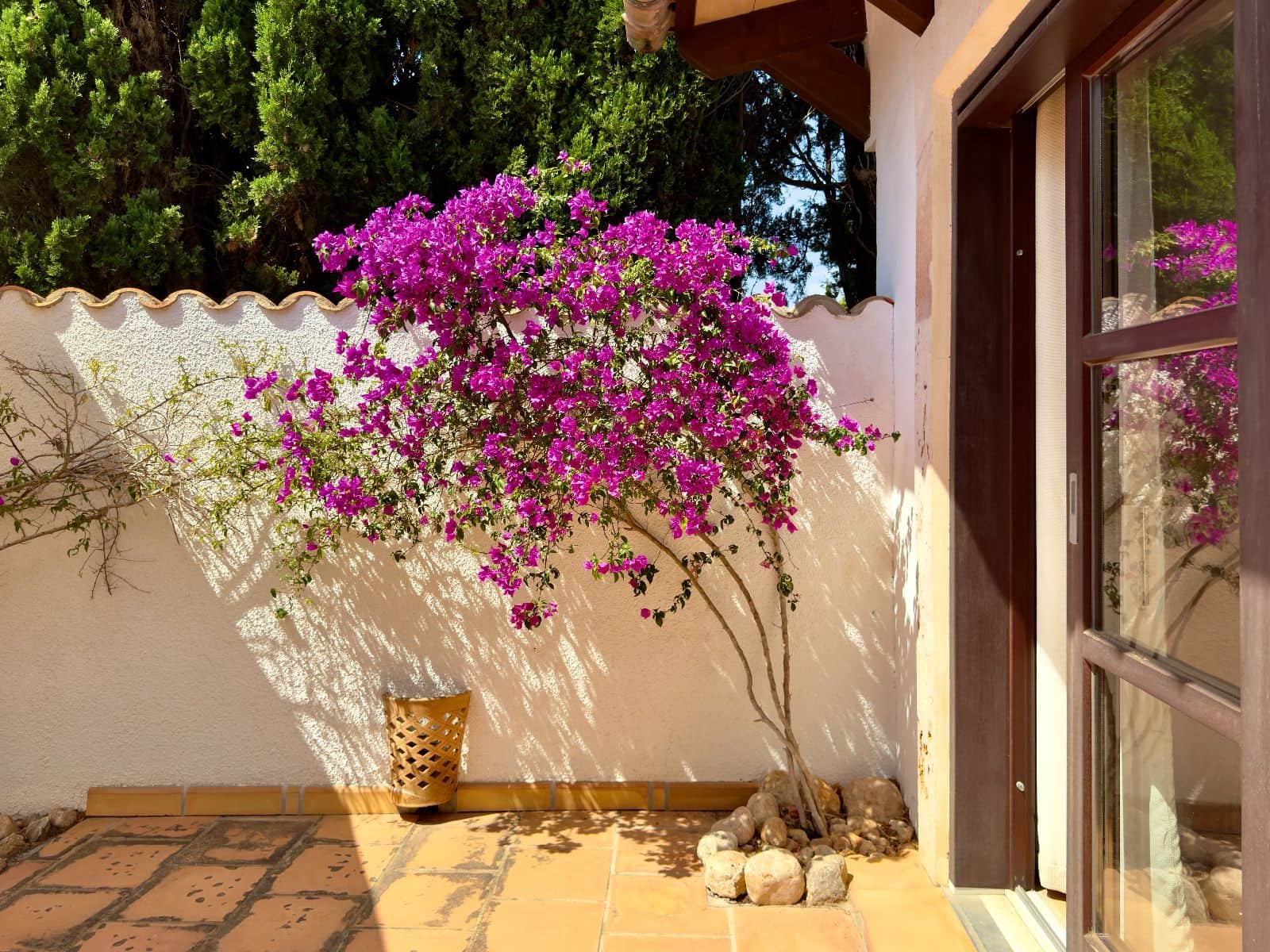 5 slaapkamer Finca/Landhuis te koop in Pollensa / Pollenca met zwembad garage - € 1.987.500 (Ref: 9897268)