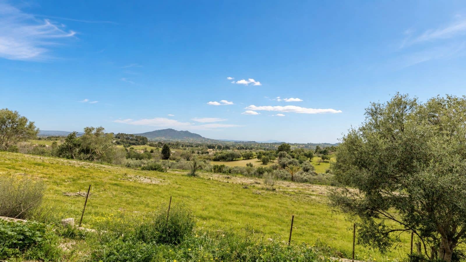 Terreno Non Edificato in vendita in Moscari - 450.000 € (Rif: 9993575)