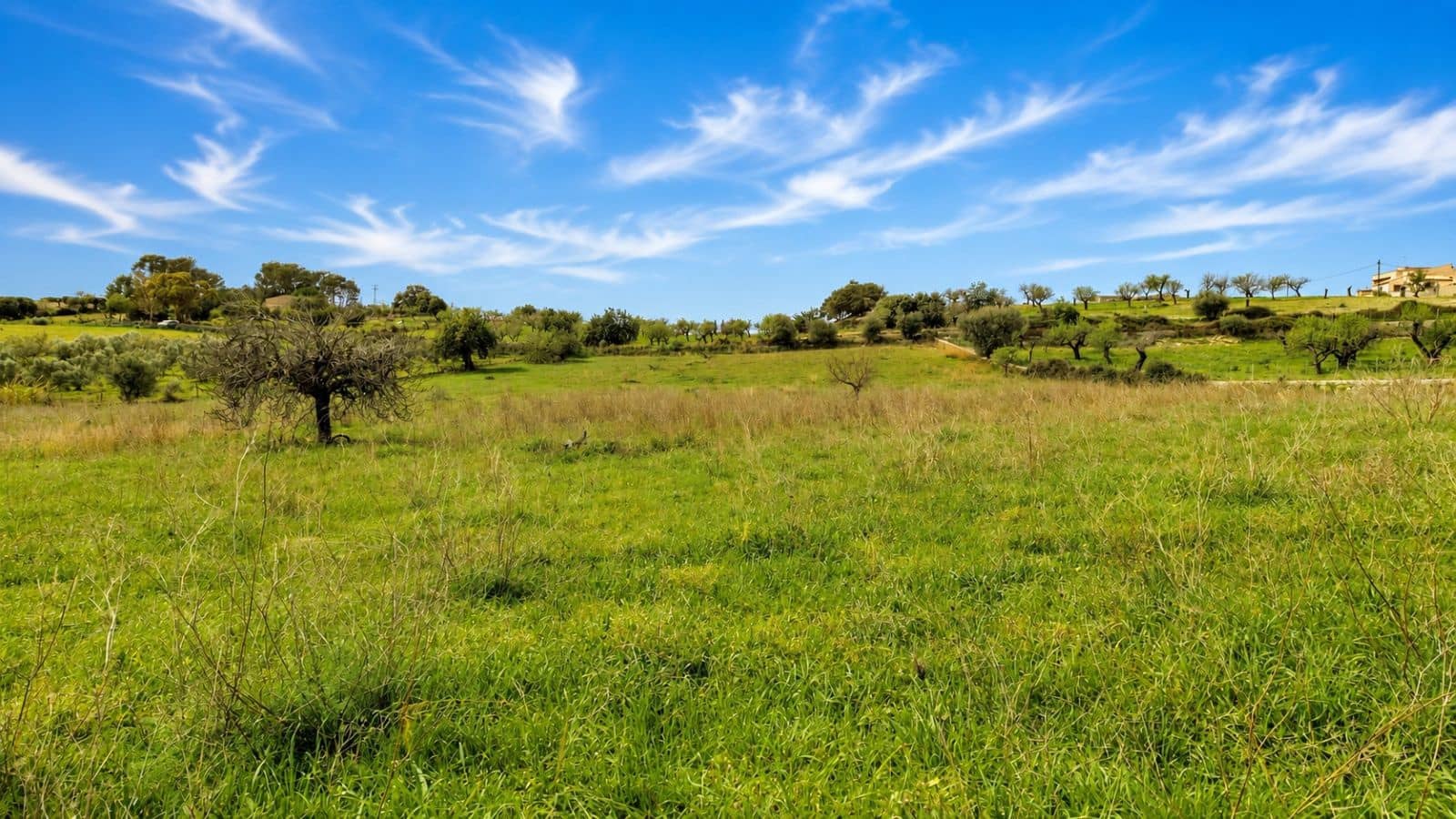 Terreno Non Edificato in vendita in Moscari - 450.000 € (Rif: 9993575)