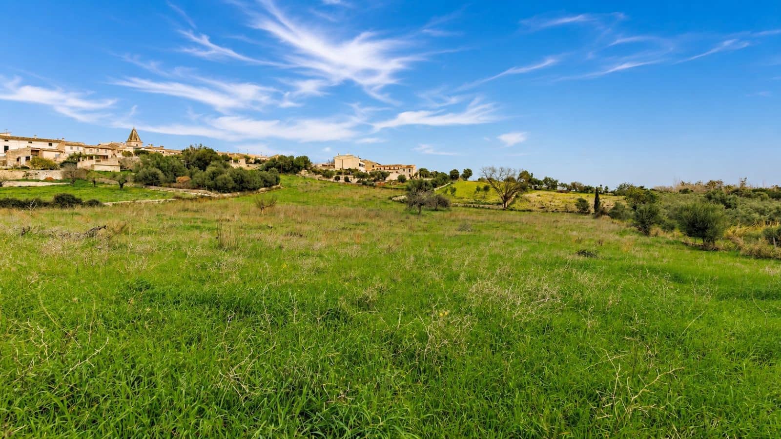 Terreno Non Edificato in vendita in Moscari - 450.000 € (Rif: 9993575)