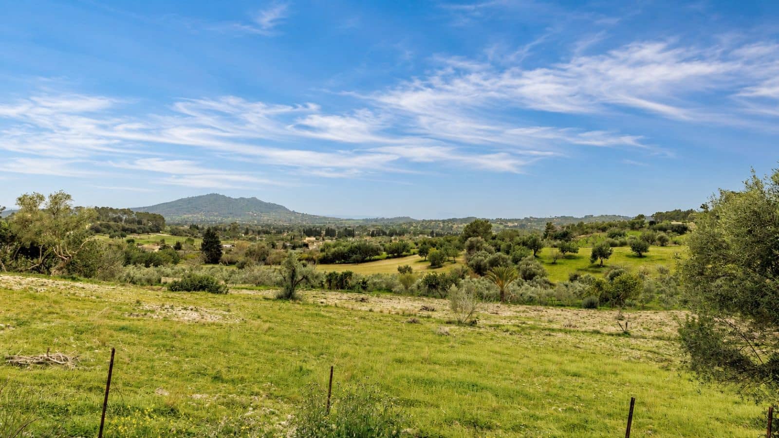 Terreno Non Edificato in vendita in Moscari - 450.000 € (Rif: 9993575)