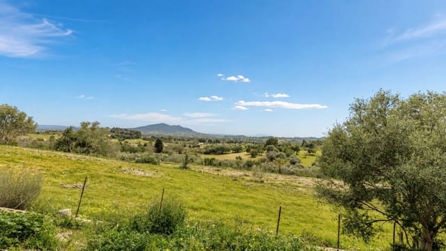 Terreno/Finca Rústica en Moscari, Selva en venta - 450.000 € (Ref: 9993575)