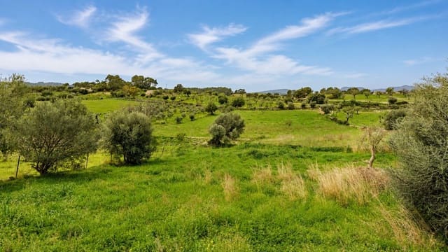 Terreno/Finca Rústica en Moscari, Selva en venta - 450.000 € (Ref: 9993575)