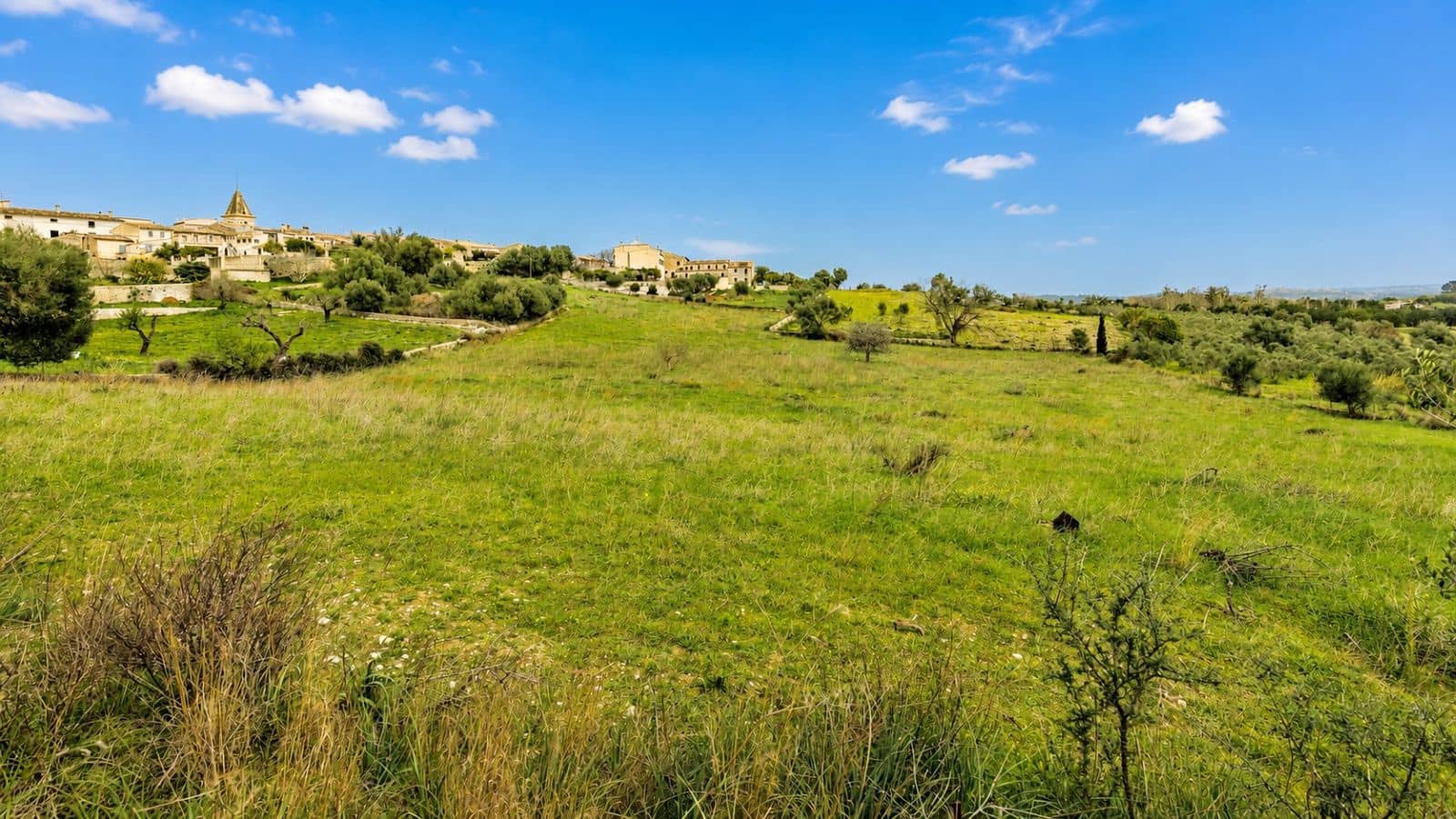 Terreno Non Edificato in vendita in Moscari - 450.000 € (Rif: 9993575)