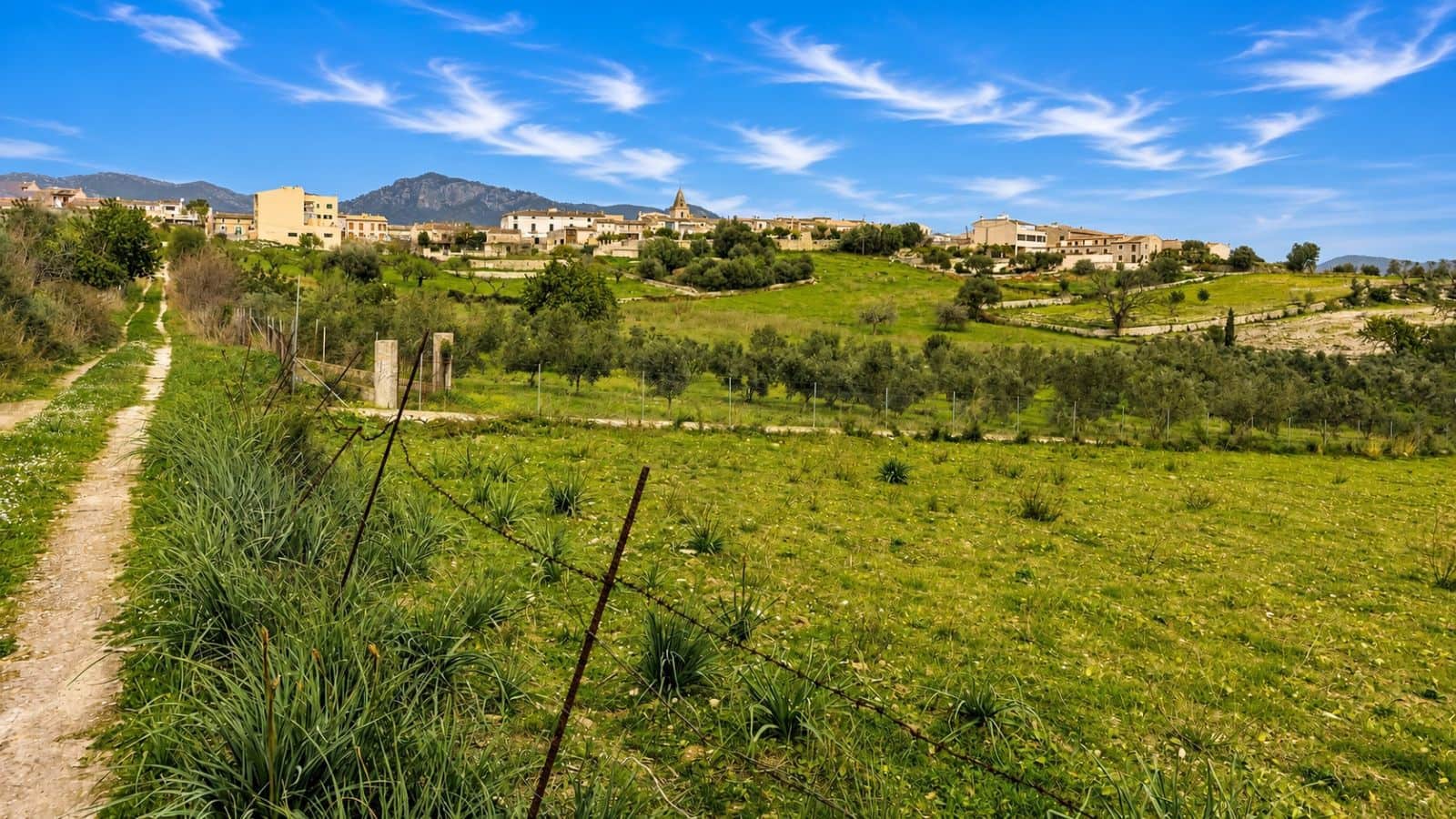 Terreno Non Edificato in vendita in Moscari - 450.000 € (Rif: 9993575)