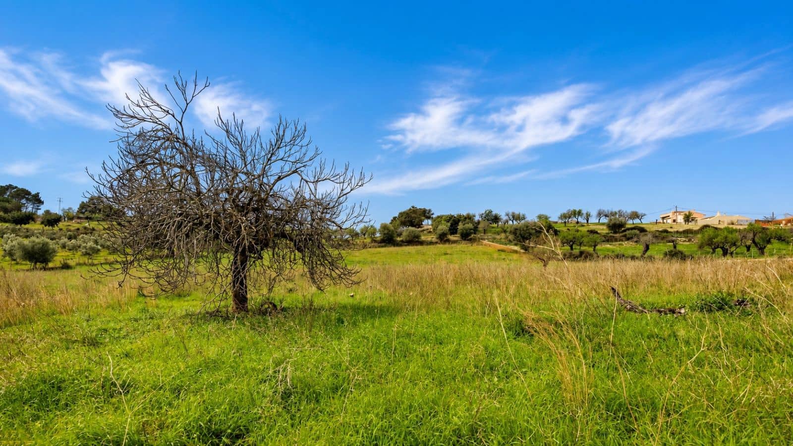 Terreno Non Edificato in vendita in Moscari - 450.000 € (Rif: 9993575)