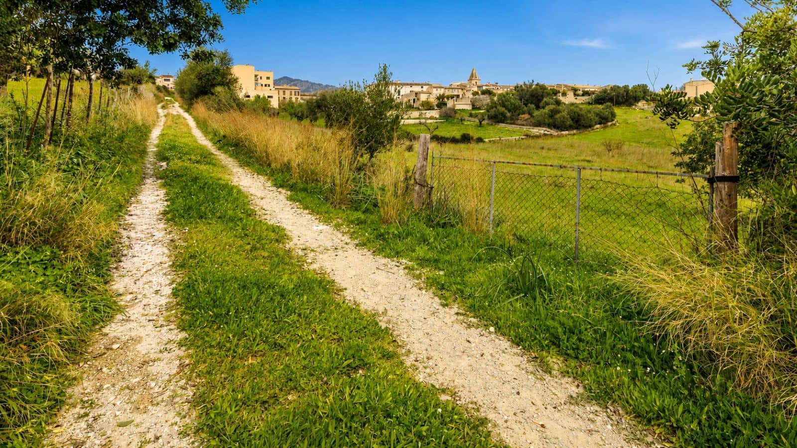 Terreno Non Edificato in vendita in Moscari - 450.000 € (Rif: 9993575)