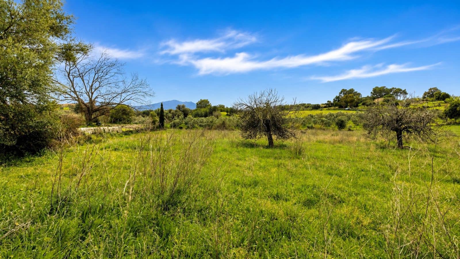 Terreno Non Edificato in vendita in Moscari - 450.000 € (Rif: 9993575)