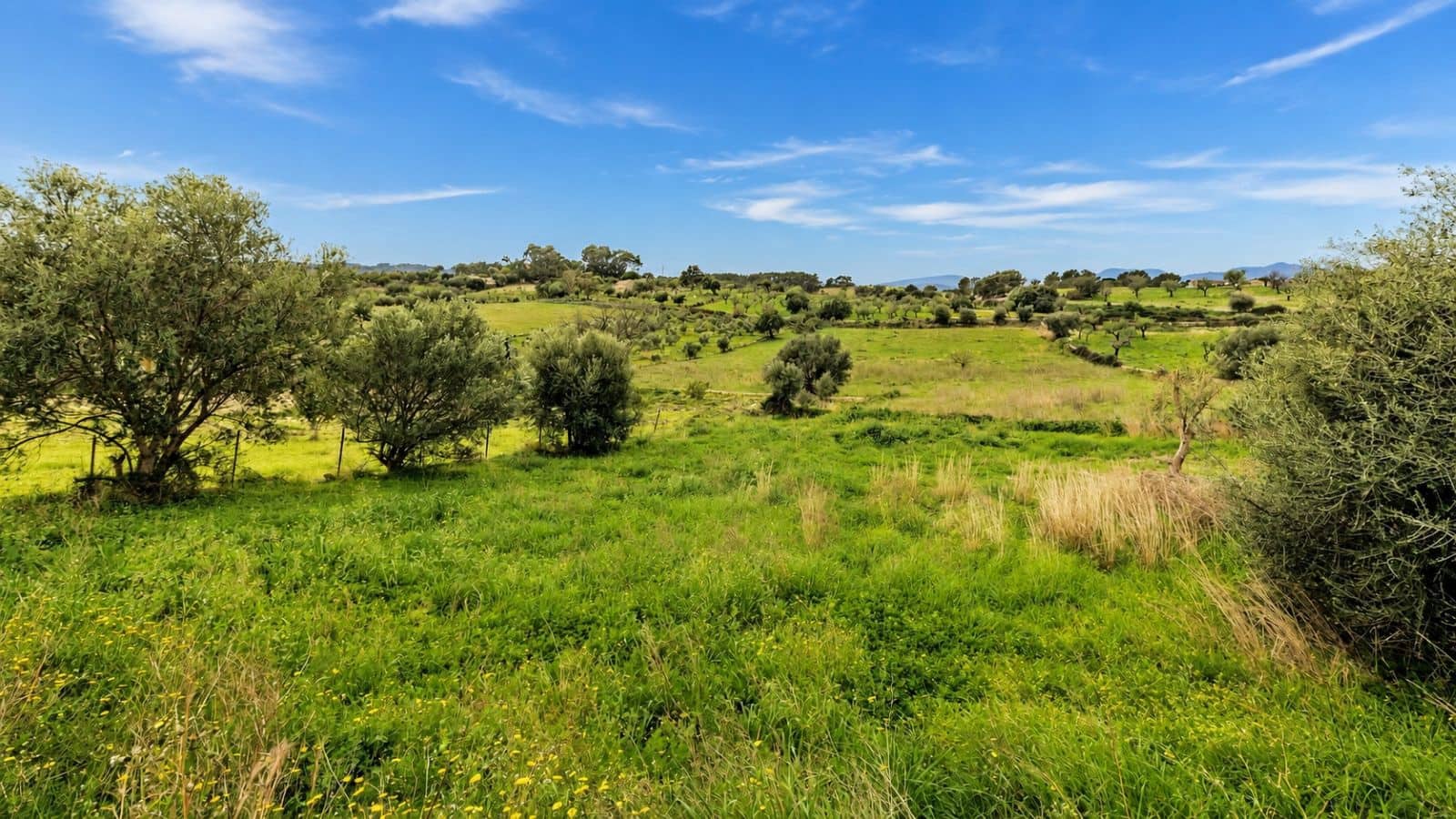Terreno Non Edificato in vendita in Moscari - 450.000 € (Rif: 9993575)
