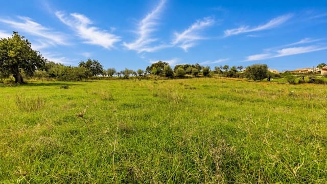 Terreno/Finca Rústica en Moscari, Selva en venta - 450.000 € (Ref: 9993575)