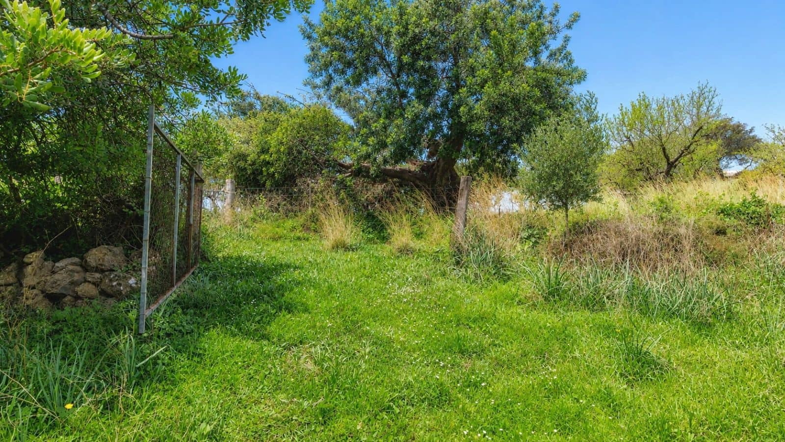 Terreno Non Edificato in vendita in Moscari - 450.000 € (Rif: 9993575)