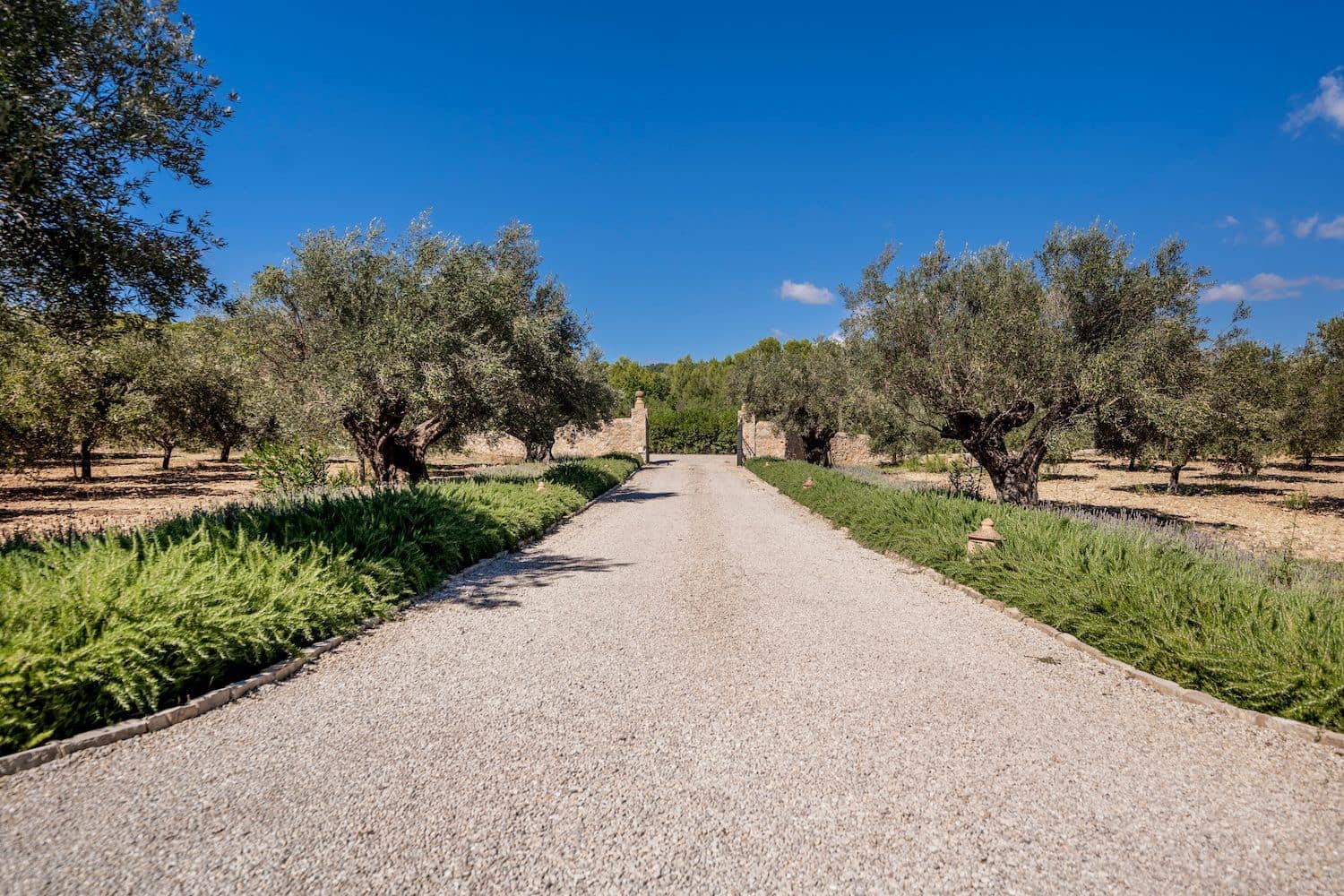 5 chambre Finca/Maison de Campagne à vendre à Calvia avec piscine - 7 250 000 € (Ref: 7829682)