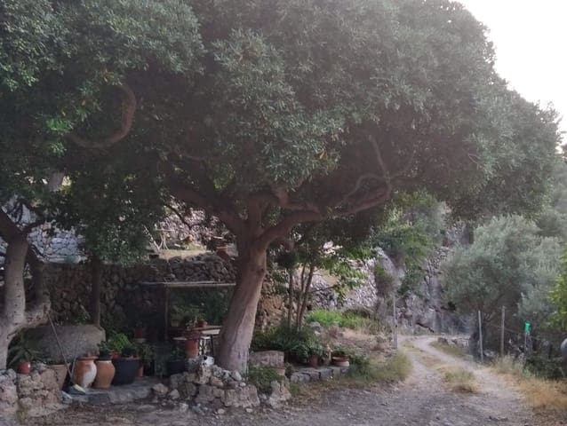 4 soveværelse Villa til salg i Deià - € 3.711.750 (Ref: 8566376)