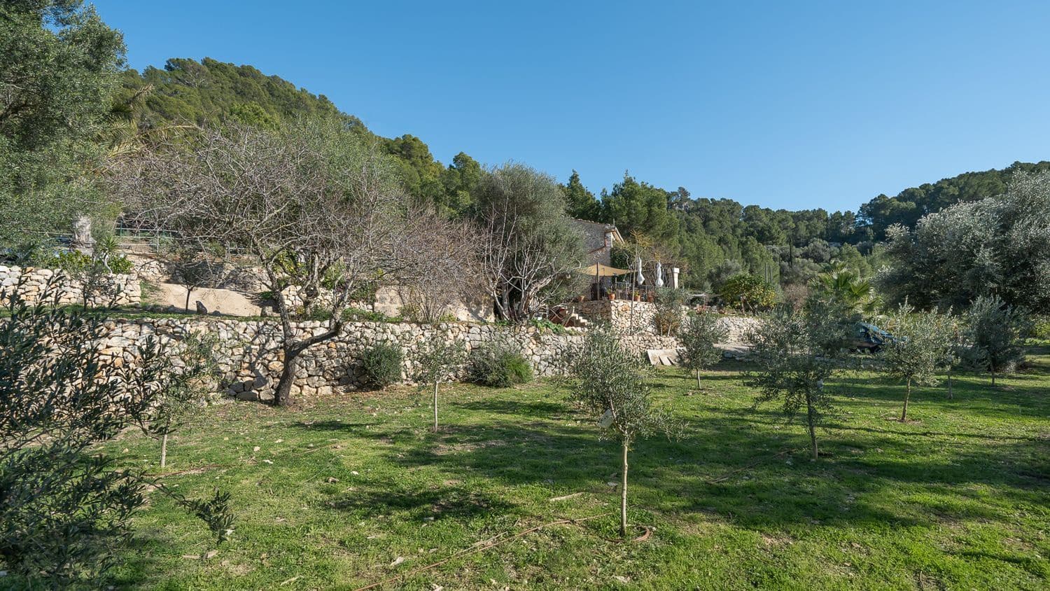 3 soverom Finca/Herregård til salgs i L'Arraco / S'Arraco med svømmebasseng - € 2 400 000 (Ref: 8757534)