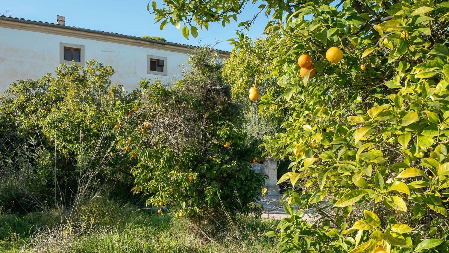 8 sypialnia Willa na sprzedaż w Palma de Mallorca z basenem - 1 800 000 € (Ref: 8857396)