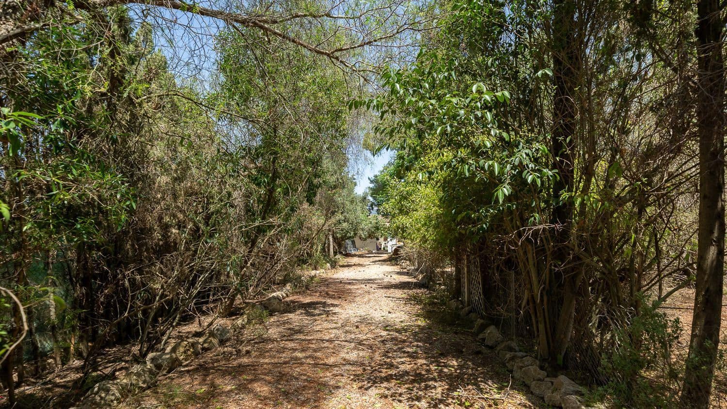 11 bedroom Villa for sale in Santa Maria del Cami with pool - € 2,369,300 (Ref: 9156091)