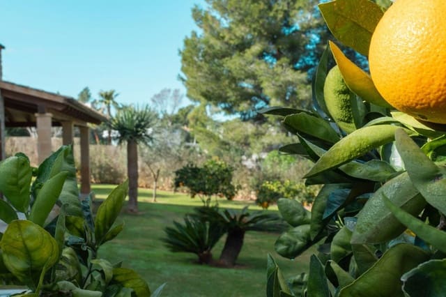 5 makuuhuone Huvila vuokrattavana paikassa Santa Ponsa, Calvià - 13 500 € (Ref: 9547866)