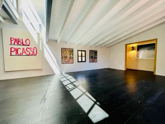 Penthouse de 4 chambres à louer à El Sindicat, Palma de Mallorca - 6 800 € (Ref: 9547868)