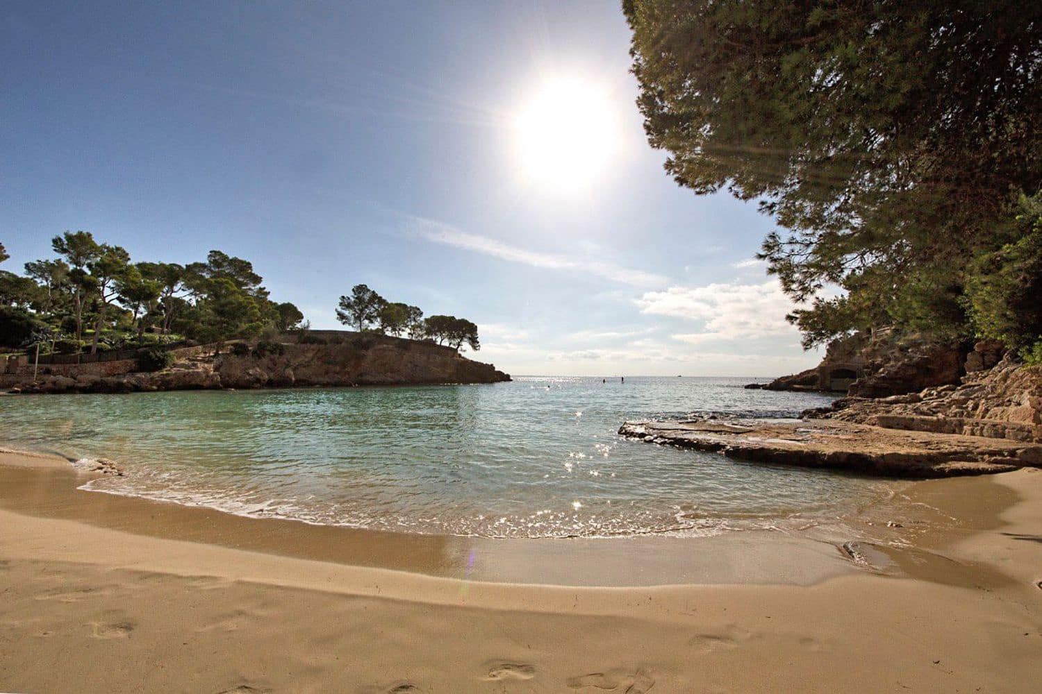 Apartamento de 2 habitaciones en Portals Nous en alquiler con piscina - 2.450 € (Ref: 9547871)