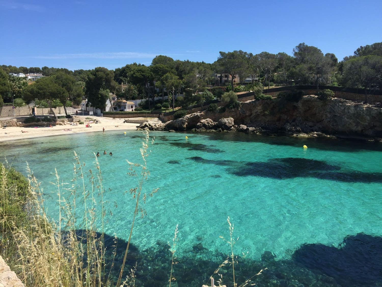 Apartamento de 2 habitaciones en Portals Nous en alquiler con piscina - 2.450 € (Ref: 9547871)