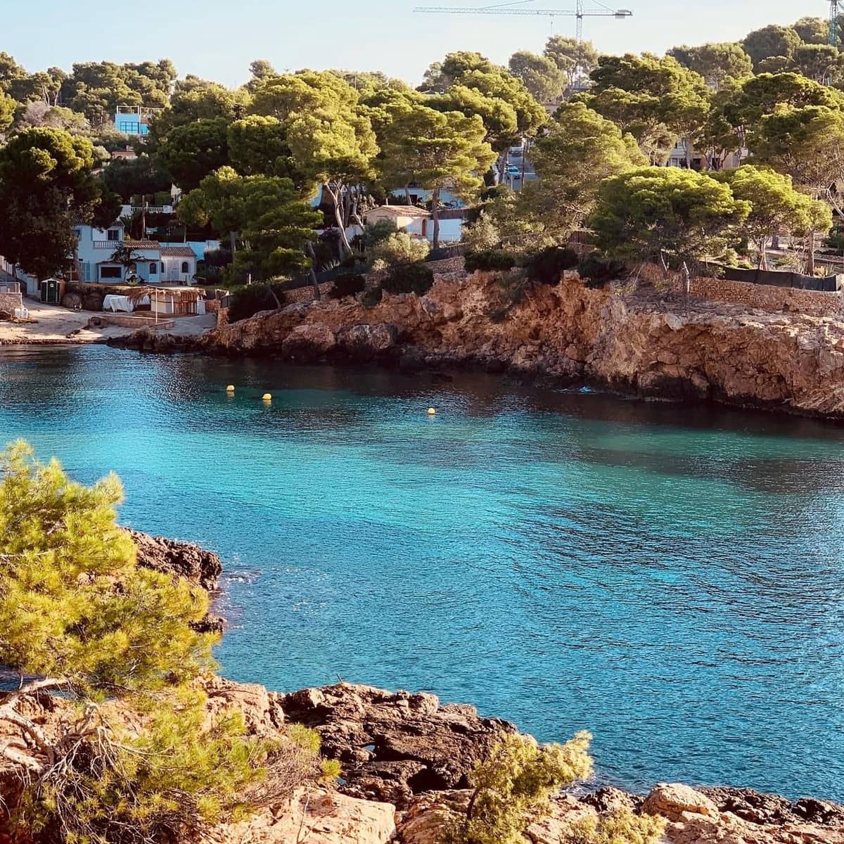 Apartamento de 2 habitaciones en Portals Nous en alquiler con piscina - 2.450 € (Ref: 9547871)