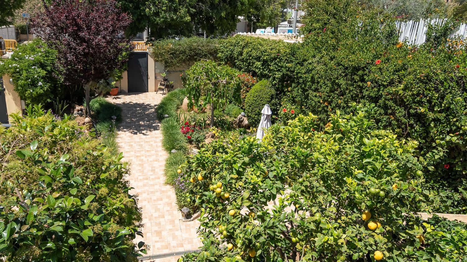 4 makuuhuone Huoneisto myytävänä paikassa Cas Catala - 2 650 000 € (Ref: 9620888)