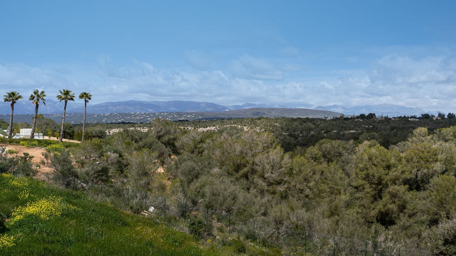 3 quarto Moradia para venda em Son Ferriol com piscina - 2 400 000 € (Ref: 9763579)