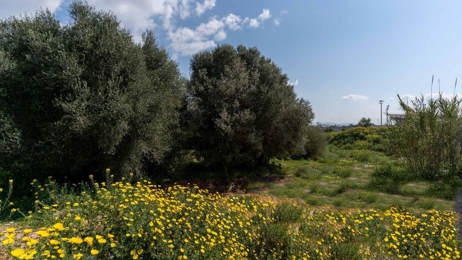 2 camera da letto Villa in vendita in Palma de Mallorca con piscina - 795.000 € (Rif: 9775940)