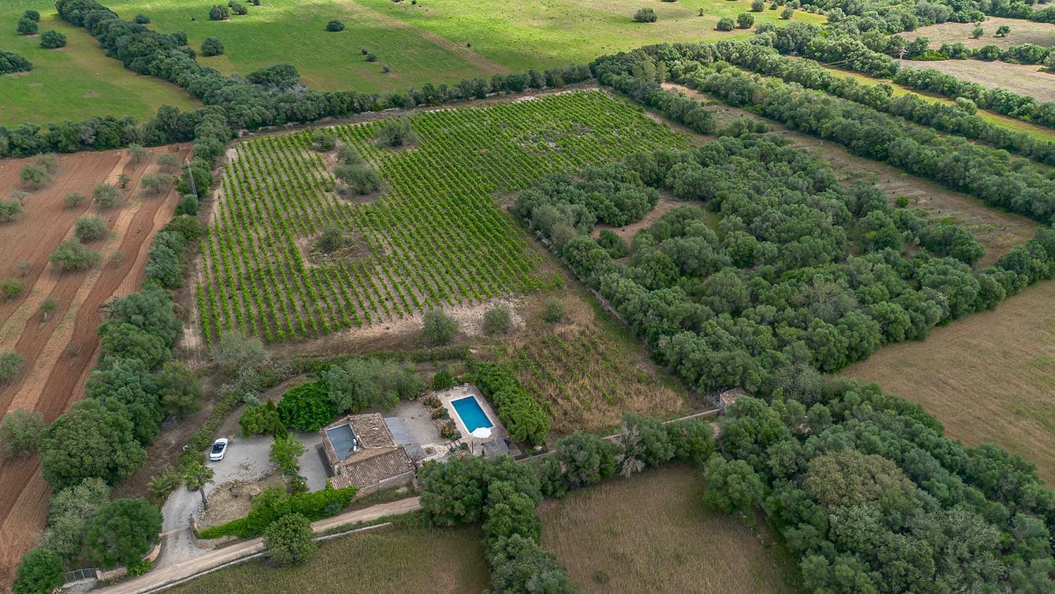 3 bedroom Villa for sale in Felanitx with pool - € 890,000 (Ref: 9839004)