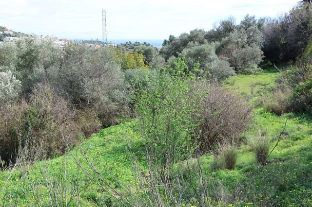 Terrain à Bâtir à vendre à Mijas - 2 495 000 € (Ref: 9603090)