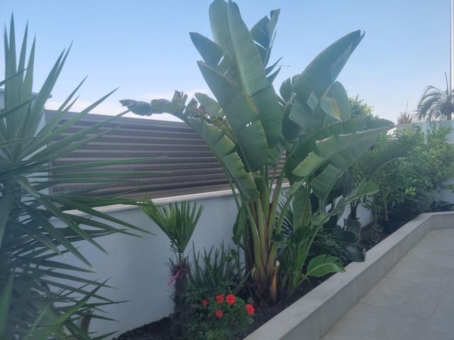 3 sovrum Radhus till salu i San Pedro del Pinatar med garage - 349 900 € (Ref: 9965261)