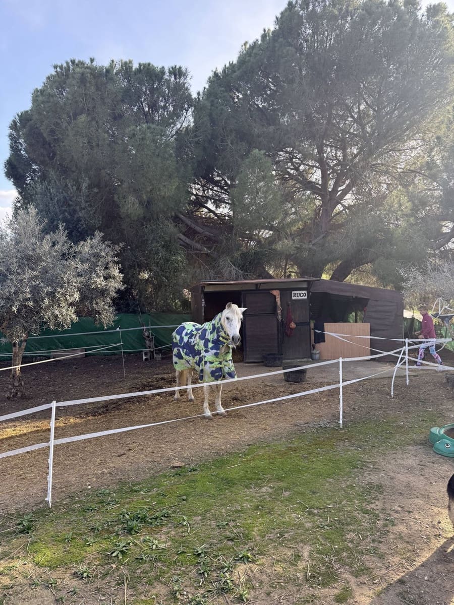 4 camera da letto Finca/Casa di Campagna in vendita in Coin con piscina - 595.000 € (Rif: 9806866)