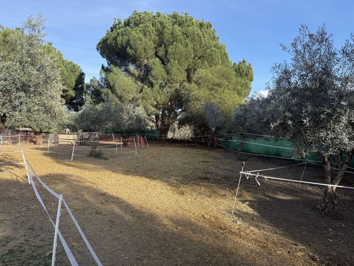 4 camera da letto Finca/Casa di Campagna in vendita in Coin con piscina - 595.000 € (Rif: 9806866)