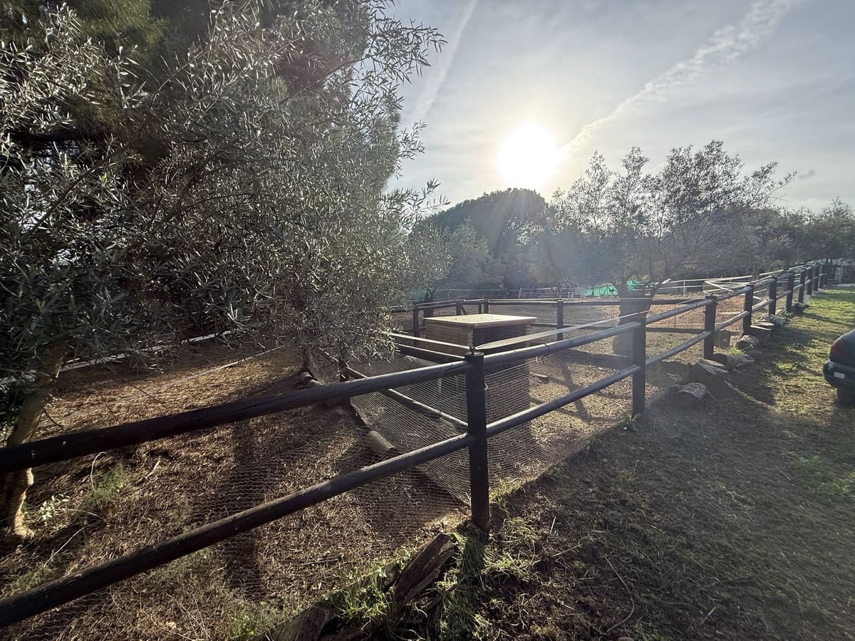 4 camera da letto Finca/Casa di Campagna in vendita in Coin con piscina - 595.000 € (Rif: 9806866)