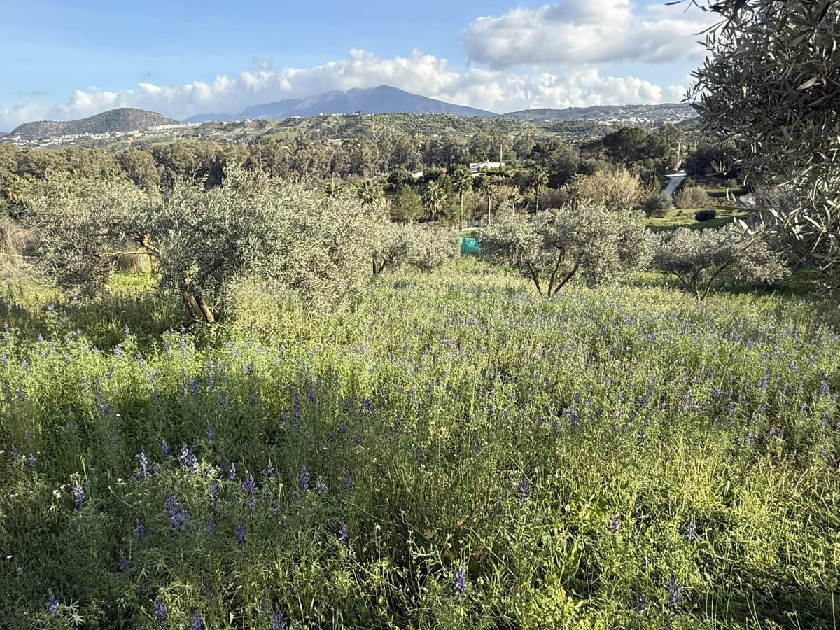 4 camera da letto Finca/Casa di Campagna in vendita in Coin con piscina - 595.000 € (Rif: 9806866)