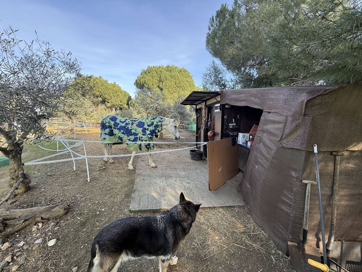 4 camera da letto Finca/Casa di Campagna in vendita in Coin con piscina - 595.000 € (Rif: 9806866)